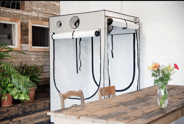 Actual product image Homebox Ambient Q120+