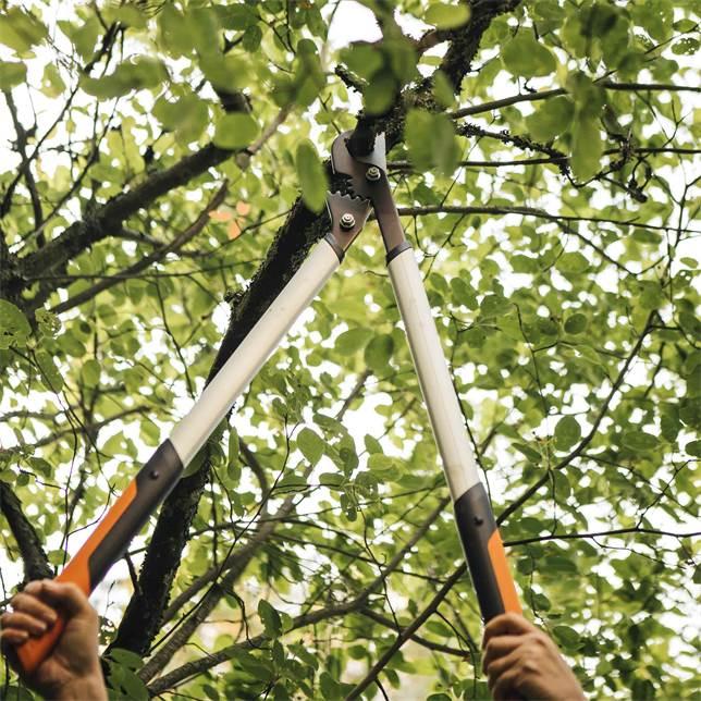 Immagine prodotto Fiskars Lx98-L