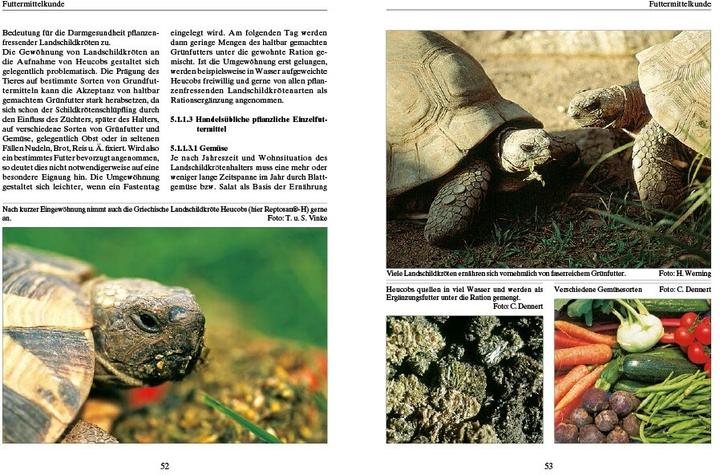 Productafbeelding Ernährung von Landschildkröten (Duits, Dr Carolin Dennert, 2021)