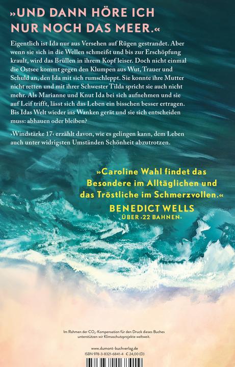 Actual product image Windstärke 17 (German, Caroline Wahl, 2024)
