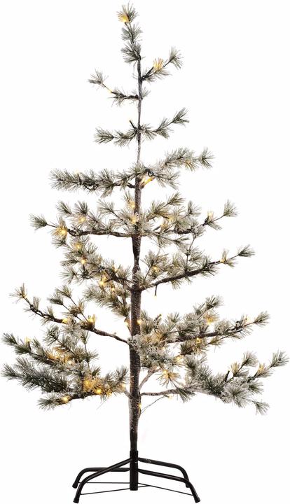 Image du produit Sirius Alfi (120 cm)