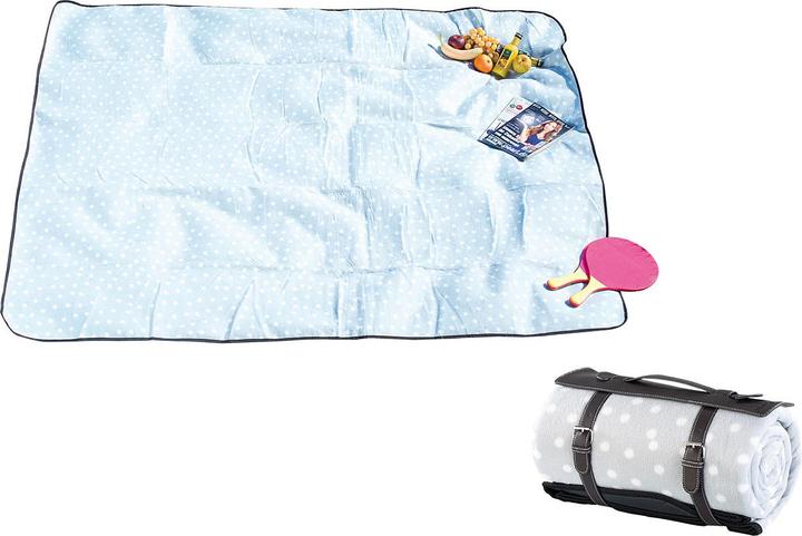 Actual product image Wilson Gabor Set of 2 water repellent fleece picnic blankets