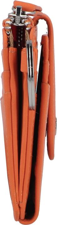 Immagine prodotto Braun Büffel Joy Rfid