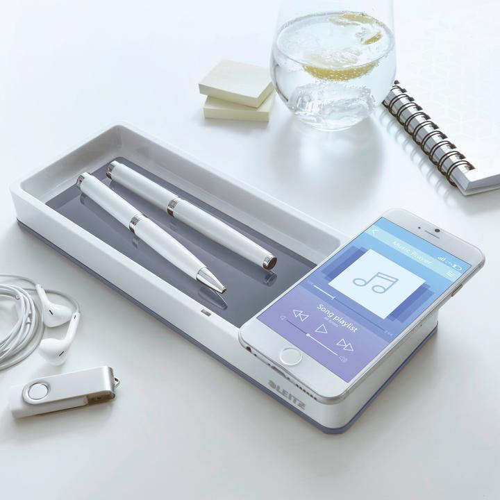 Actual product image Leitz WOW pencil tray Duo Colour