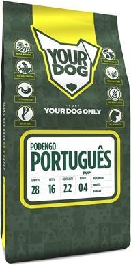 Yourdog Podengo Português Pup (3050 g)