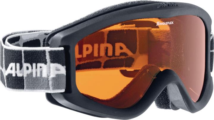 Image du produit ALPINA SPORTS Carvy 2.0