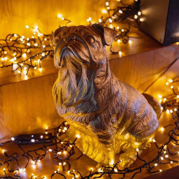 Actual product image Twinkly Cluster (6 m)