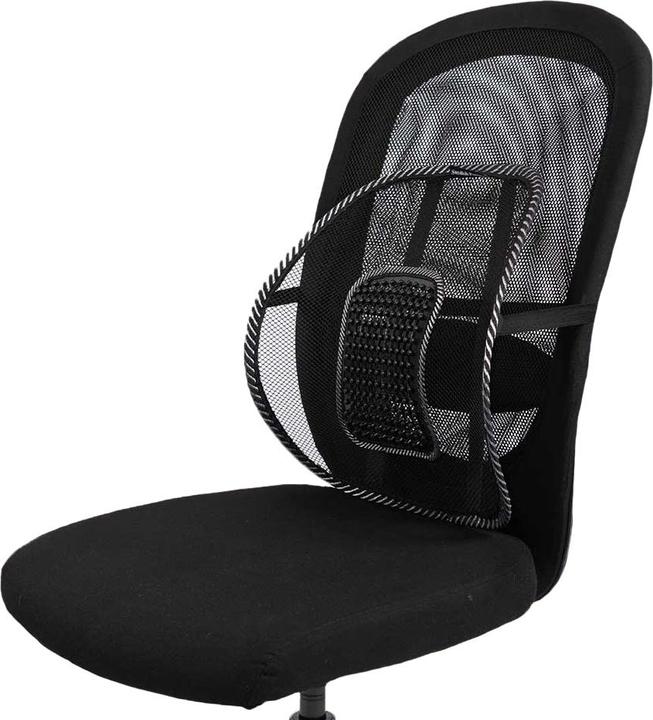 Swedish Posture Rückenstütze