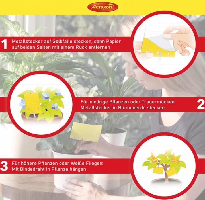 Produktbild Aeroxon Gelbfalle für Topfpflanzen