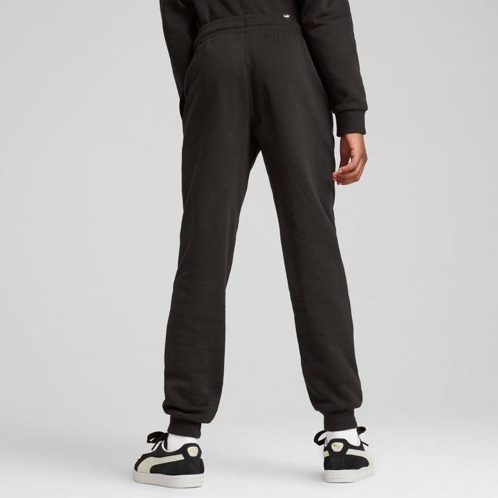 Image du produit Puma ESS+ SCRIPT Metallic Pants FL G (164)