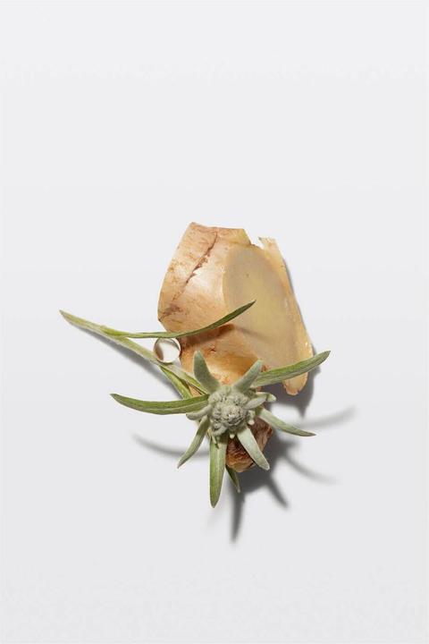 Actual product image Kérastase Genesis Ampoules Cure Fortifiante Anti-Chute (60 ml)