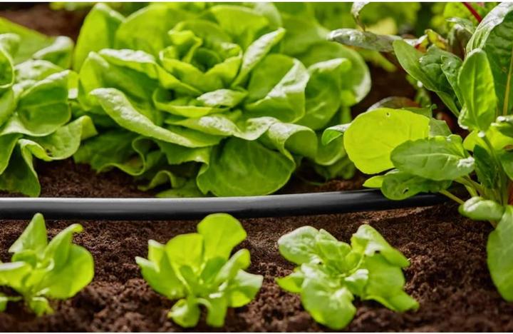 Produktbild Gardena Verlegerohr 1/2" x 50m (Tropfschlauch + Tropfrohr)