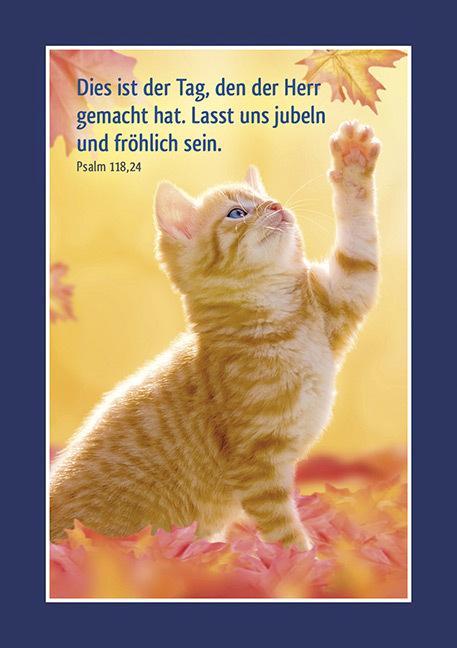 Image du produit Petite source - En forme pour les animaux, autocollant