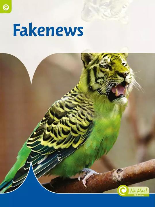 Produktbild Fakenews (Deutsch, Susan Schaeffer, Astrid Dontje, 2022)
