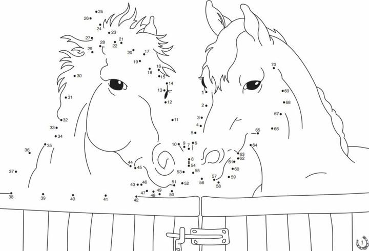 Immagine prodotto Amici del cavallo: pittura con i punti