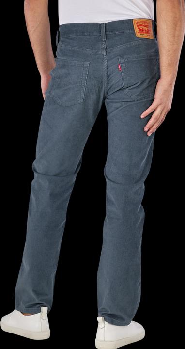 Actual product image Levis 10021758 (W34/L30)