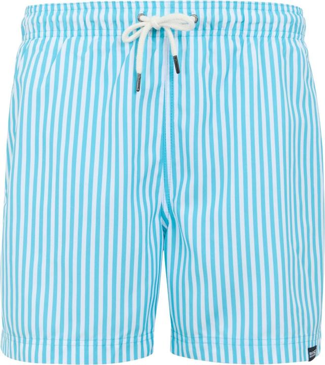 Actual product image Regatta Mens Loras Striped Swim Shorts (XXL)