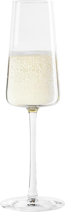 Immagine prodotto Stölzle Set Calice da champagne Power (24 cl, 1 Occhiali, Bicchieri da champagne)