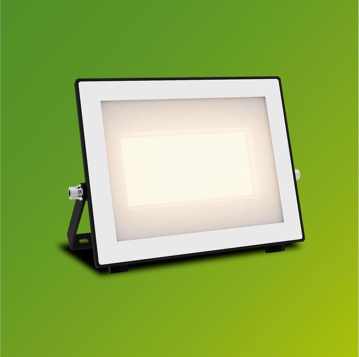 Produktbild Philips Outdoor Flutlicht Lois (5400 lm, IP65)