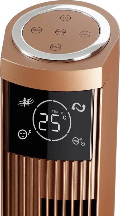 Produktbild Biswind Turmventilator (50 dB)