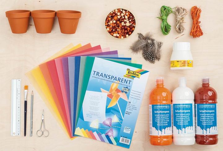 Actual product image Folia Transparent paper (115 g/m², 10 x)