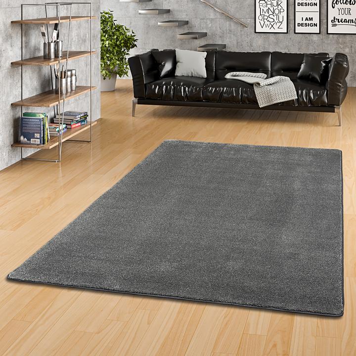 Produktbild Snapstyle Hochflor Luxus Velours Teppich Touch (100 x 400 cm)