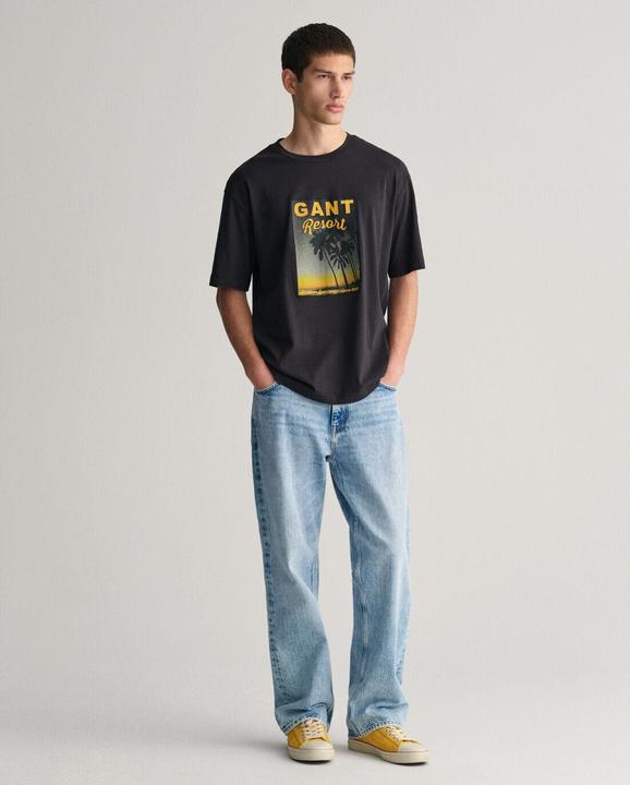 Actual product image GANT t-shirt washed graphic (L)