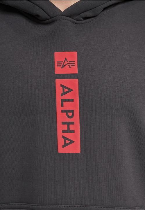 Immagine prodotto Alpha Industries Logo BP Hoodies - 145441 (XXL)