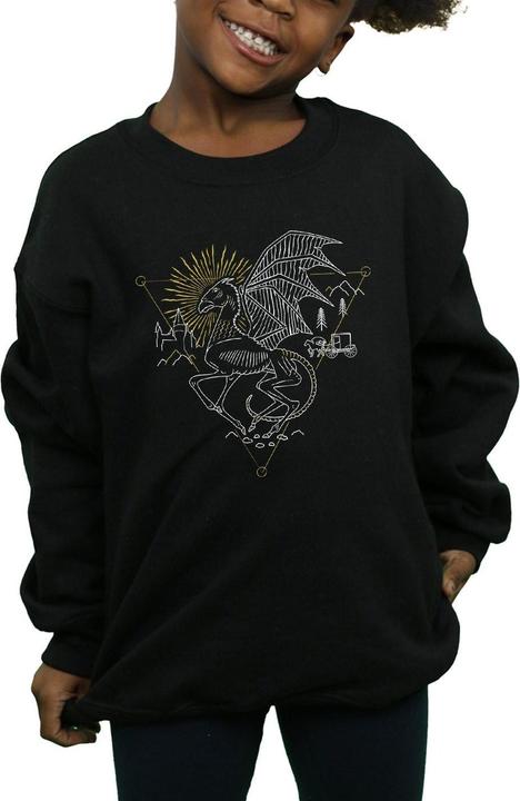 Image du produit - Sweat THESTRAL LINE ART - Fille (152, 158)