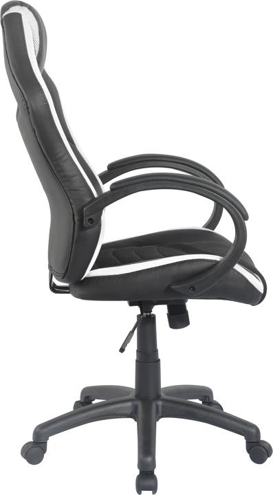 Produktbild Homexperts Hornet