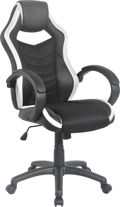 Produktbild Homexperts Hornet