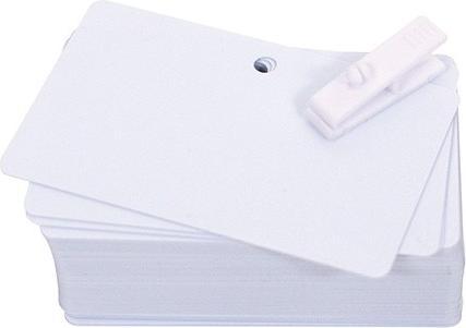 Immagine prodotto Evolis Biglietti pre-fustellati vuoti in PVC