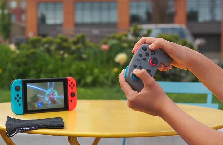 Actual product image NGS Nano (Switch Lite, Switch)