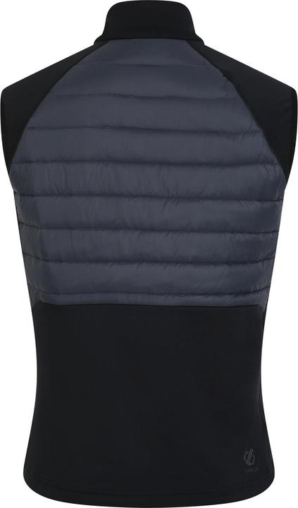 Immagine prodotto Dare2b Descending Gilet Uomo (XL)