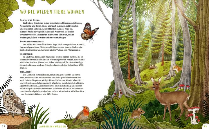 Immagine prodotto Wir sind die Tiere des Waldes (Tedesco, Sophie Schoenwald, 2024)