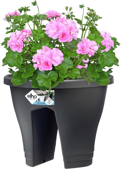 Produktbild Elho Corsica (30 cm)