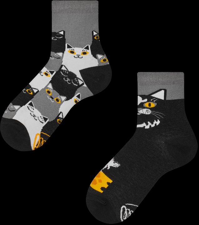 Image du produit Many Mornings Chat noir (Une unité par pack, 23 - 26)