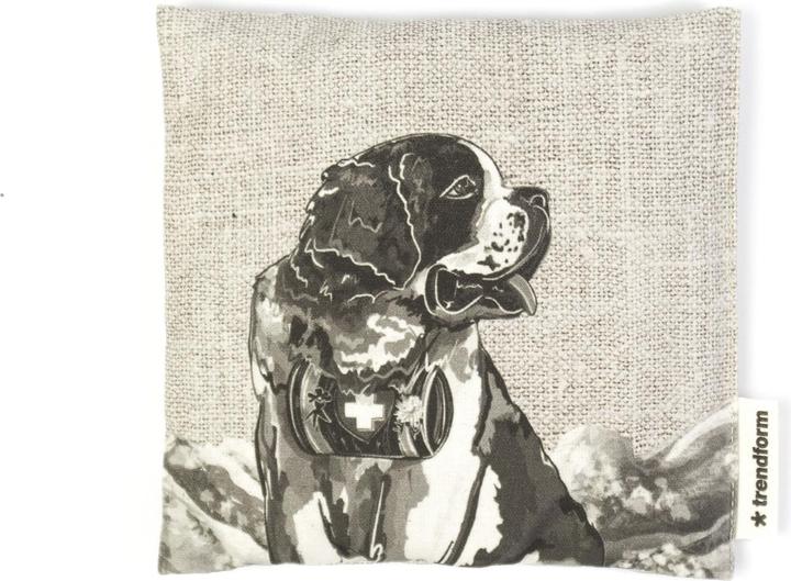Produktbild Trendform KIRSCHKERN-KISSEN MINI Barry (140 x 140 cm)