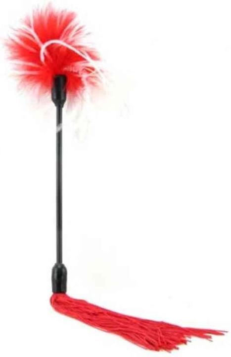 Actual product image Sex & Mischief whip tickle