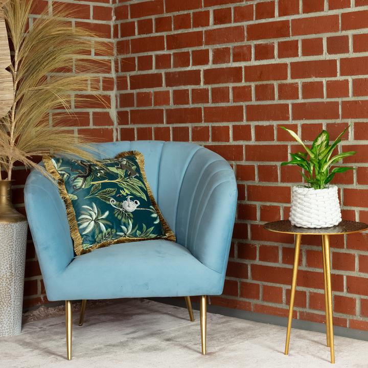 Actual product image Flowerbox Dieffenbachie - Dieffenbachia (35 cm)