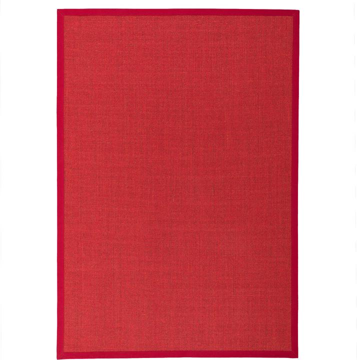 Image du produit Pergamon Tapis en sisal Natura Classic avec bordure (60 x 110 cm)
