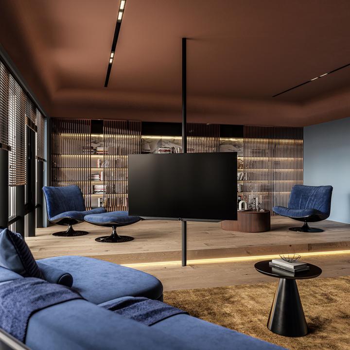 Image du produit Loewe Image v.65 dr+ (65", OLED, 4K, 2023)