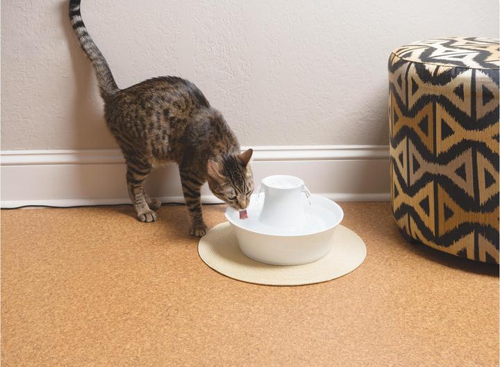 Produktbild Drinkwell PetSafe Avalon (2 l)