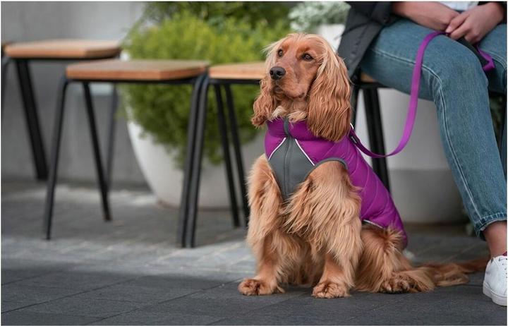 Image du produit Red Dingo Manteau pour chien Puffer 50 cm rose/violet (Manteau pour chien)