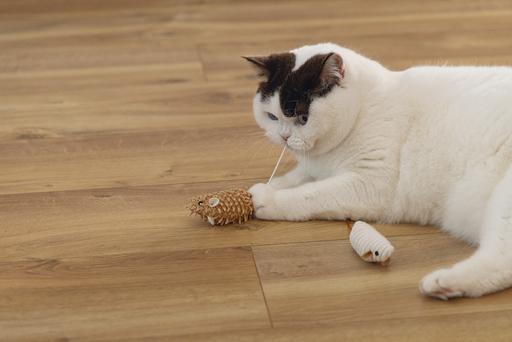 Image du produit Beeztees Katzenspielzeug Eco Maus Seerp (Jouets avec herbe à chat)