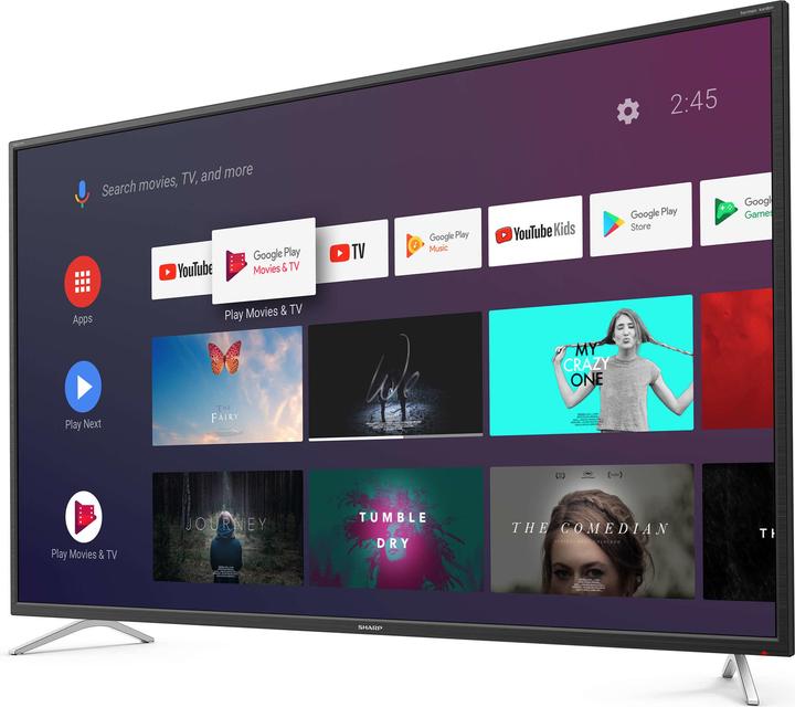 Actual product image Sharp TV 55BL2EA (55", BL2EF, LCD, 4K, 2019)