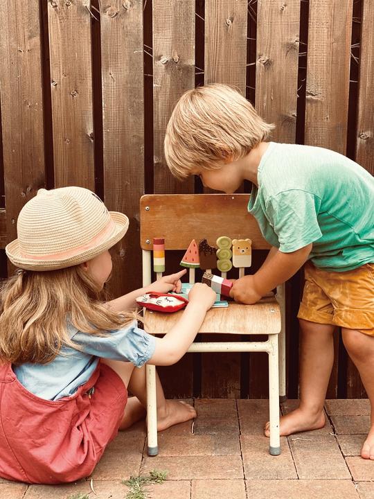 Immagine prodotto Tender Leaf Toys Set di bastoncini per ghiaccioli