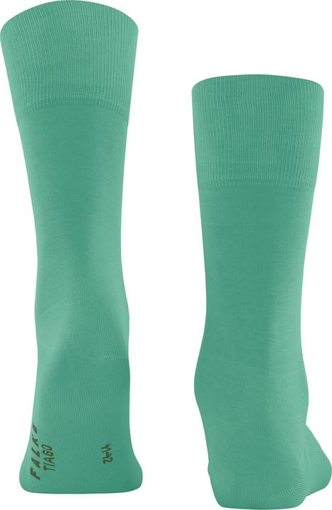 Actual product image Falke Tiago Men (43 - 44)