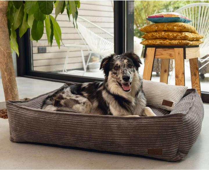 Produktbild Designed by Lotte Ribbed (Hund)