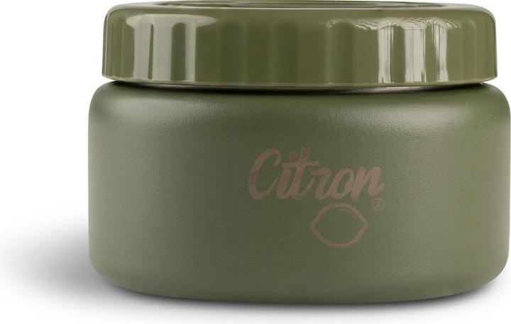 Citron Stainless Steel Food Jar 250ml Green
